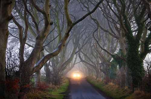 عکس های بسیار زیبا از یک جاده رویایی در ایرلند