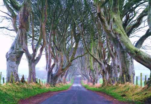 عکس های بسیار زیبا از یک جاده رویایی در ایرلند